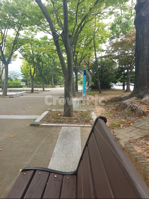 벤치,가로수,보도,보도블럭,조경,인도
