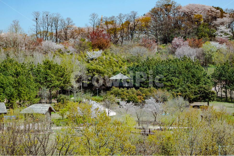 봄풍경,김해시,수로왕릉역근처,봄,공터,봄,계절,spring,season,자연,풍경,nature,landscape,outdoors,옥외,building,건물