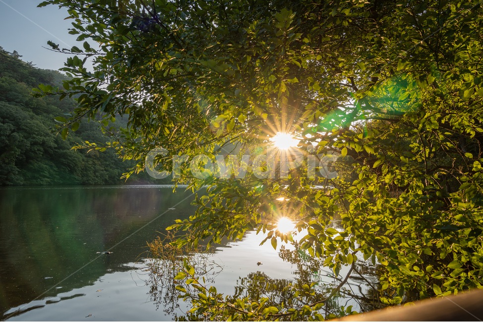 청송,주산지,나무,산,풍경,경치,강,저수지,가을,자연,풍경,nature,landscape,flare,플레어,light,빛,sunlight,햇빛