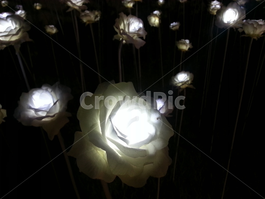 동대문,디자인,플라자,디자인플라자,ddp,야경,밤,풍경,nightscape,night,landscape