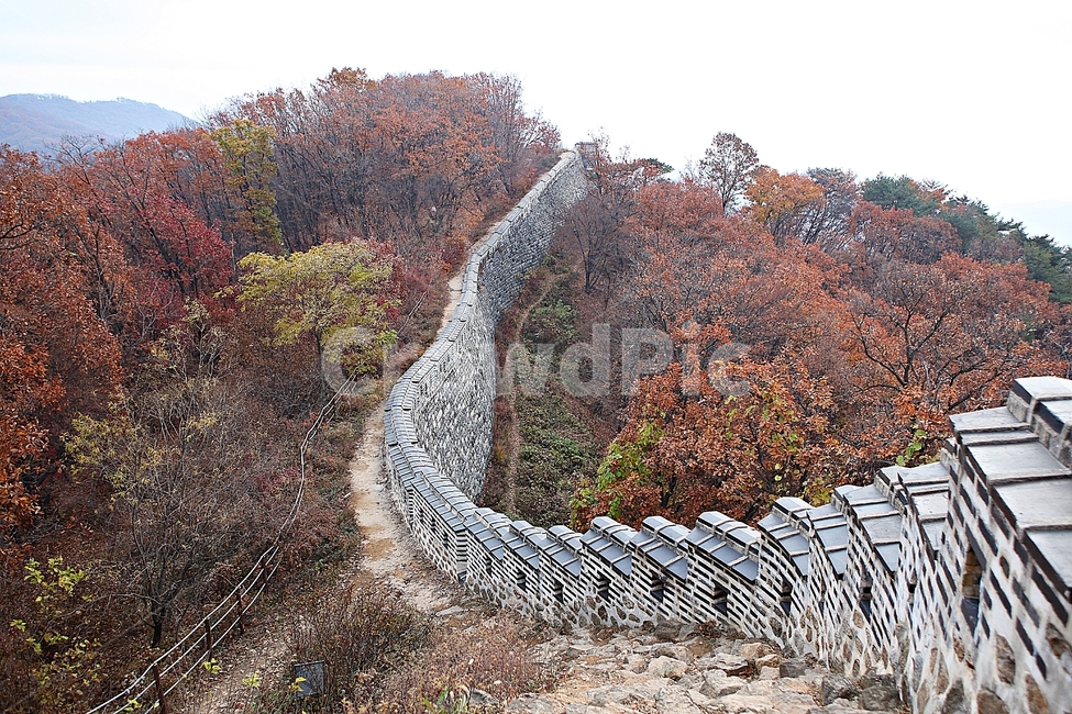 남한산성,성,성곽,단풍,낙엽,길,둘레길,숲,숲길,담,돌담,가을,자연,풍경,벽,울긋불긋,산성,식물,가을,계절,fall,autumn,season,한국전통,한국문화,korean traditional,korean culture