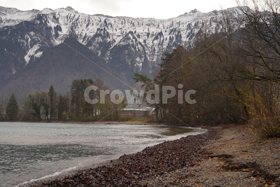 outdoors,nature,자연,mountain,산,스위스,switzerland,설산,눈,호수,lake,강,물,river,water,흙길,dirtroad,자갈,road,전나무,plant,자연,풍경,nature,landscape,해외,외국,세계,foreign,oversea,world,세계자연풍경,해외자연풍경,외국자연풍경,world nature landscape