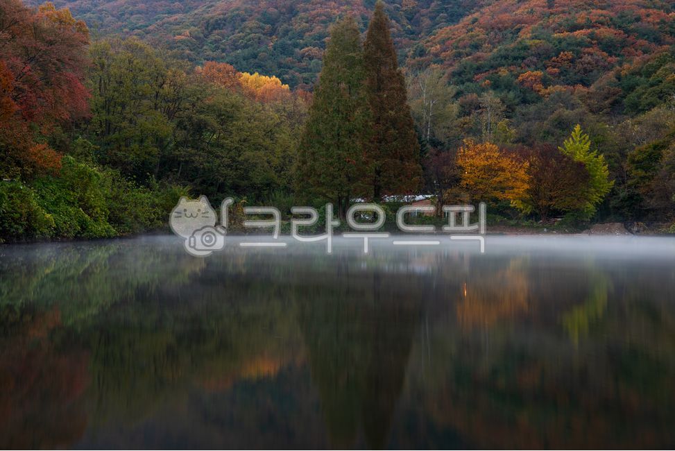 새벽,안개,물안개,식물,나무,산,단풍,계절,가을,풍경,자연,호수,연못,정원,컬러풀,차분한,반영,컬러,색