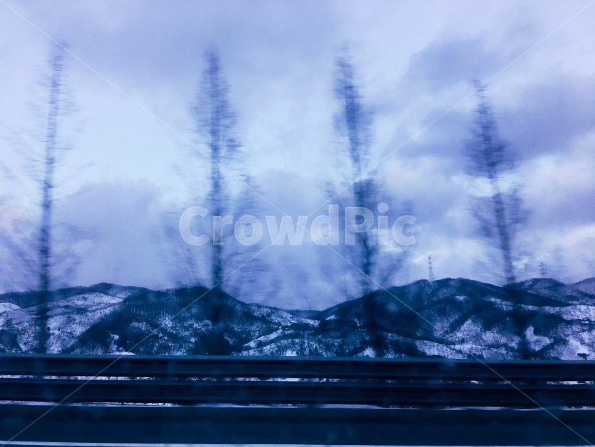 차도,도로,나무,풍경,겨울,푸른,블루,파란,산,겨울산,겨울,계절,winter,season,자연,풍경,nature,landscape,감성,sensible,feeling