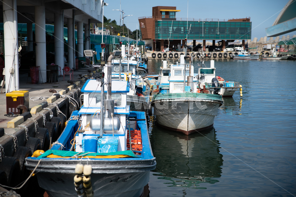 동해,어선,배,항구,묵호항,산업,industry,industrial,어업,fishery,fishing industry