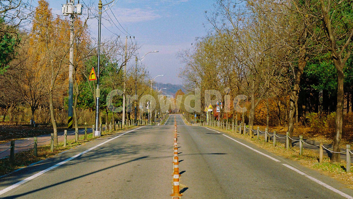 도로,road,길,street,거리