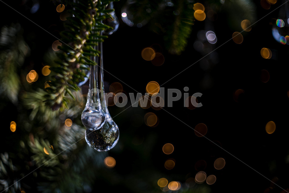 성탄,성탄절,트리,크리스마스,christmas,메리크리스마스,성탄절,merry christmas