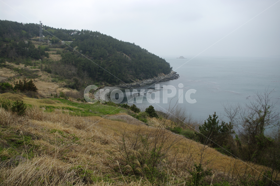 나무,식물,plant,자연,nature,섬,바다,풍경,자연,풍경,nature,landscape,promontory,곶,water,물,land,땅,outdoors,옥외,ocean,대양,sea,shoreline,해안선,slope,경사