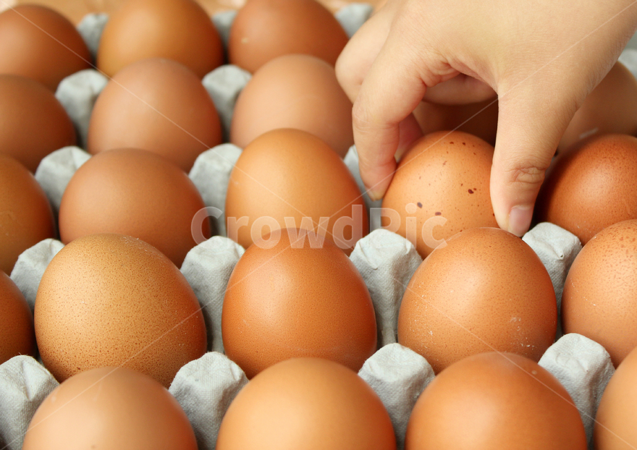 계란,달걀,계란판,트레이,음식재료,식재료,요리재료,단백질,음식,요리,식료품,신선한,프레쉬,식자재,프로틴,농업,식생활,food,cook,meal,egg,tray,eggtray,eggs,손,hand,아이손,어린이,아이,child,음식,식재료,요리,food,cook,meal,dishes,food reserves