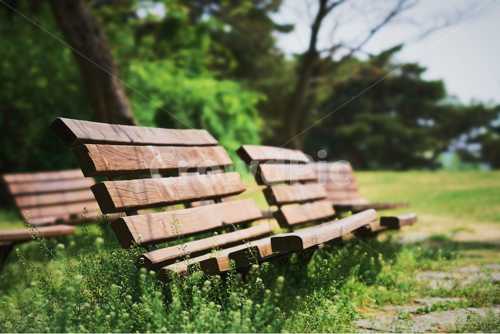 의자,쉼터,벤치,여유,녹음,rest,fresh,휴식,힐링,rest,relaxation,healing