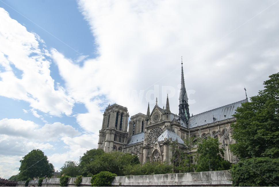 노트르담,노틀담,대성당,notre,notredame,paris,france,해외,외국,세계,foreign,oversea,world,건축물,건물외관,exterior,building,structure,architecture,construction