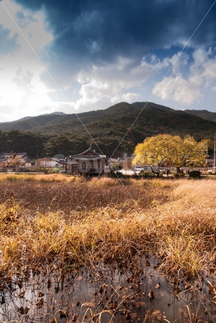 경주,서출지,이요당,전통건축,한옥,기와,정자,관광지,가을,경주남산,통일전,신라시대,삼국시대,단풍,건축,건축물,건물,연밭,연꽃,한국전통,가을,계절,fall,autumn,season,자연,풍경,nature,landscape,한국자연풍경,한국자연경관,korea nature landscape,시골,마을,country,rural,town,한국전통,한국문화,korean traditional,korean culture,outdoors,옥외
