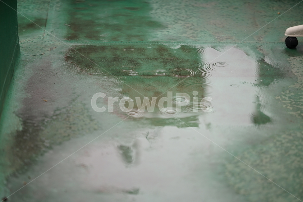비,날씨,봄비,빗물,계절,물,봄,rain,비,비오는날,rain,rainy