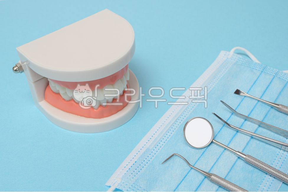 치과,치아,이빨,보건,건강,의료,충치,치료,클리닉,병원,이빨모형,모형,도구,입,위생,구강,배경,헬스,청결,직업,치석,스케일링,덴탈,검진,구강검진,치과검진,예방,질환,치주,치주질환,카피스페이스,여백,컨셉,개념,치과의사,치위생사,치아관리,하늘색,마스크,덴탈마스크,치과마스크,의료마스크,일회용마스크,치주염,파란색,오브젝트,치석제거,의료,의학,병원,medical,hospital,clinic,연출,컨셉,콘셉,direction,concept