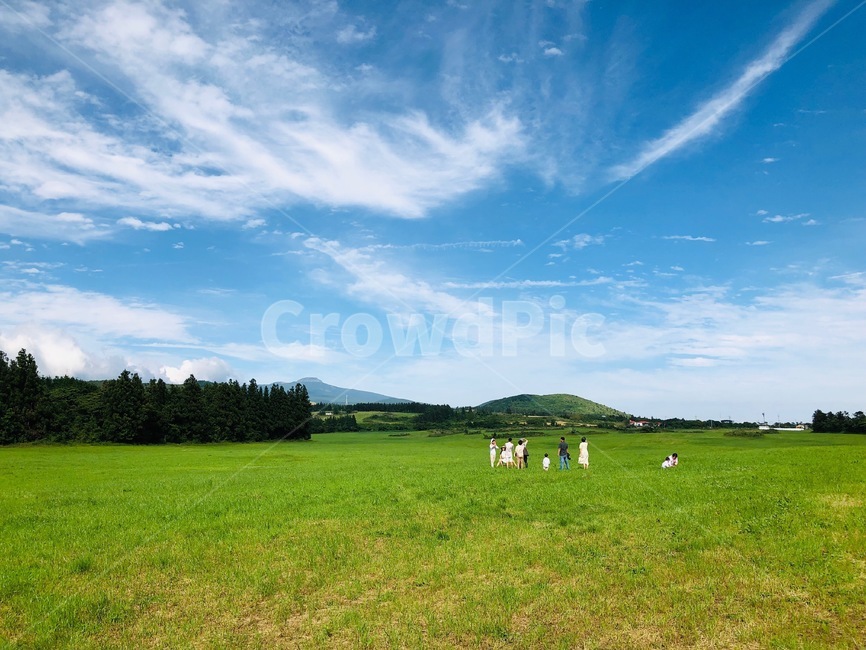 초원,veld,가족,자연,평화,대자연,제주도,제주,jeju,jejuisland