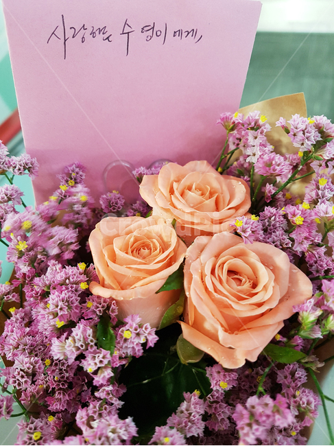 선물,편지,꽃다발,다발,고백,사랑,마음,plant,식물,꽃,flower,꽃,flower,기념일,축하,anniversary,congratulation,celebrate,celebration