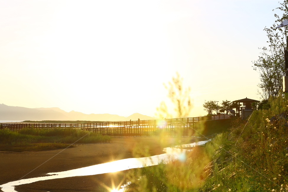 부산,다대포,노을,낙조,플레어,해질녁,매직아워,자연,풍경,nature,landscape,light,빛,flare,sunlight,햇빛