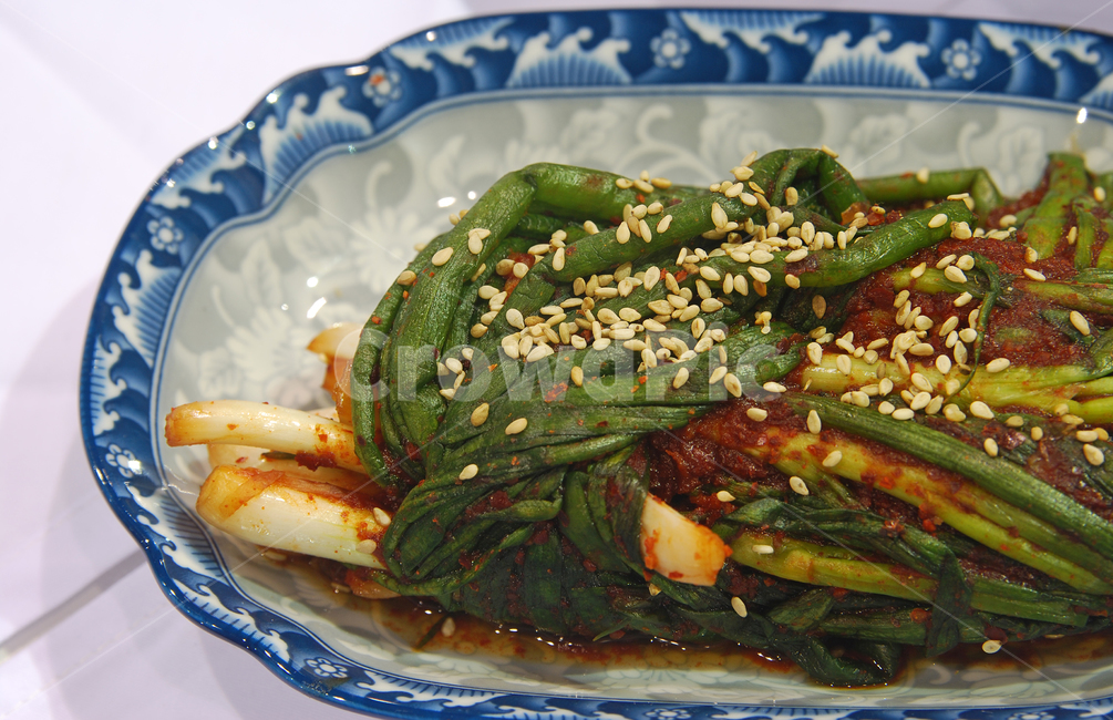 파김치,파,김치,반찬,음식,한식,접시,그릇,깨,전통음식,전통,한국,음식,식재료,요리,food,cook,meal,dishes,food reserves,한식,한국음식,한국요리,korean food,korean dishes,korean meal,korean cook