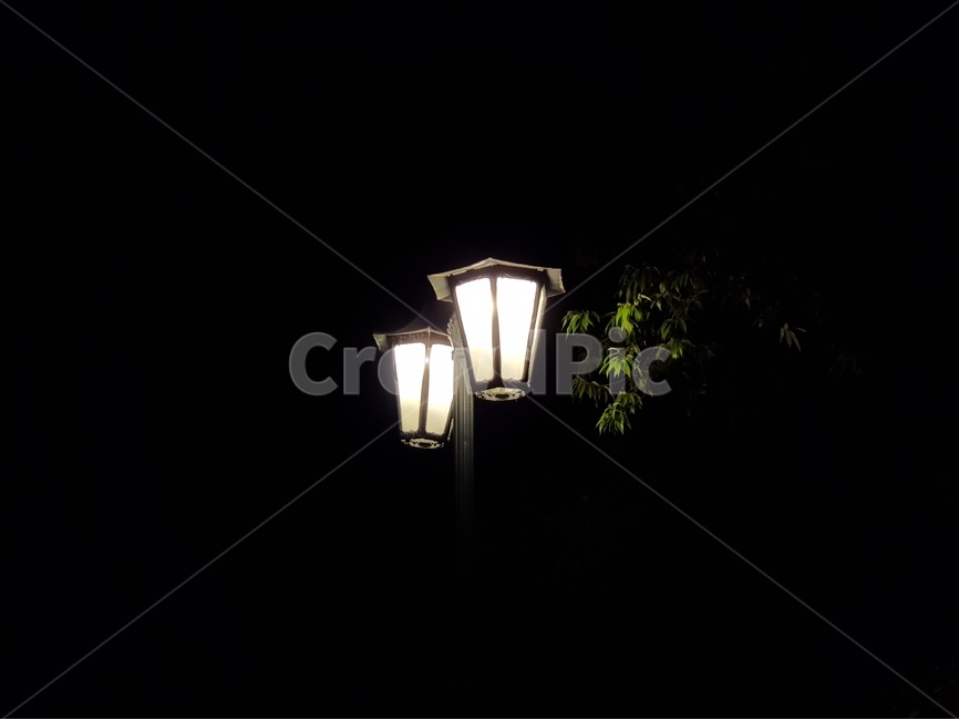 가로등,밤,산책,마실,밤공기,나무,어둠,야경,밤,풍경,nightscape,night,landscape