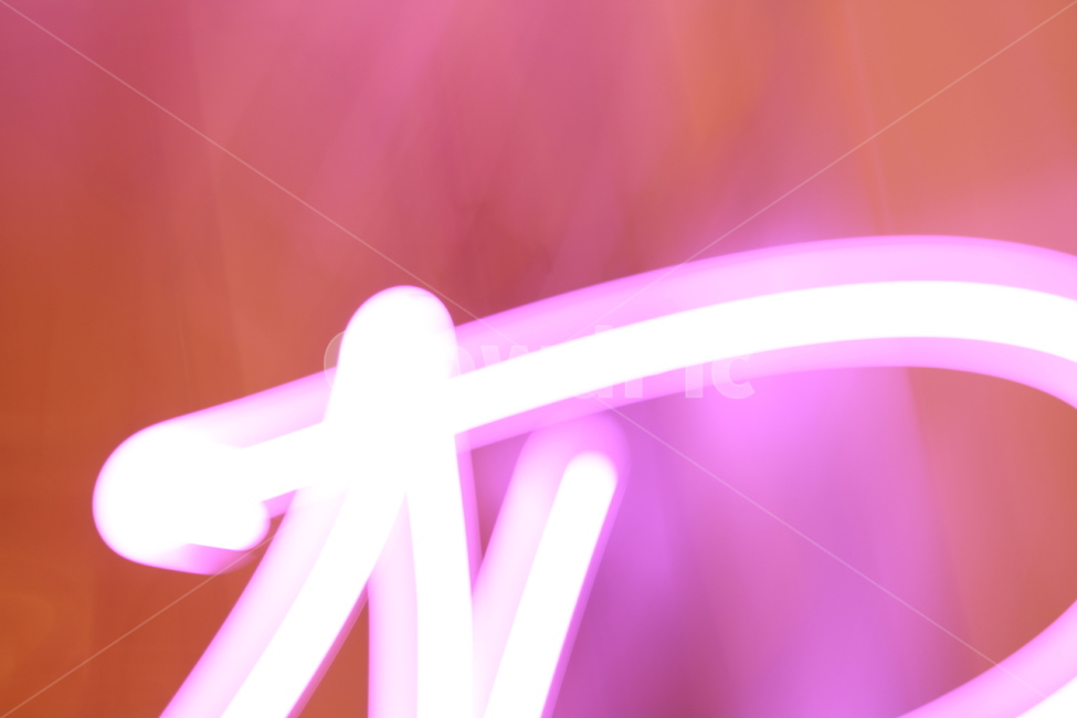 필름,네온,네온사인,neon,light,조명,빛,필름사진,핑크,분홍색,몽환,purple,보라색
