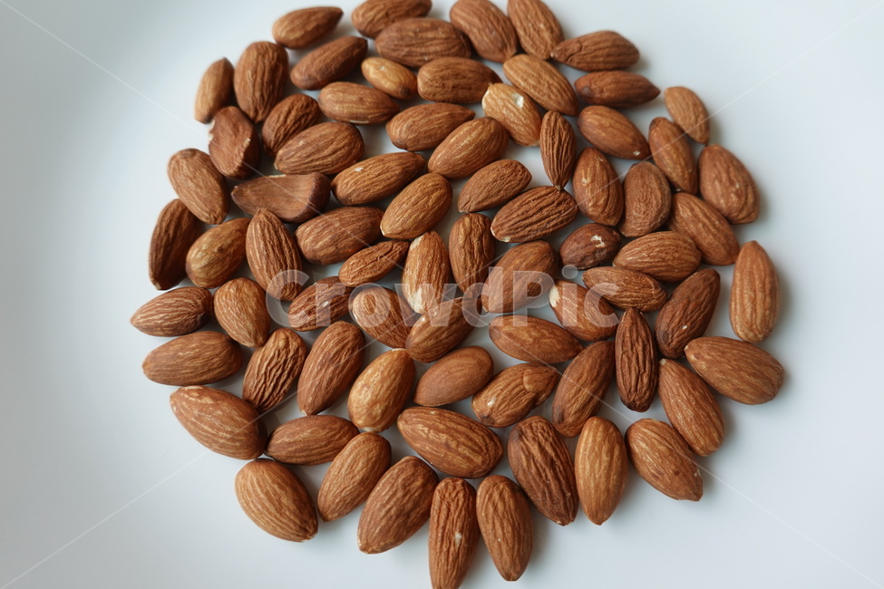 almond,아몬드,식물,nut,food,음식,견과류,음식,식재료,요리,food,cook,meal,dishes,food reserves,콩류,견과류,beans,pulse,nuts,dry fruits,연출,컨셉,콘셉,direction,concept