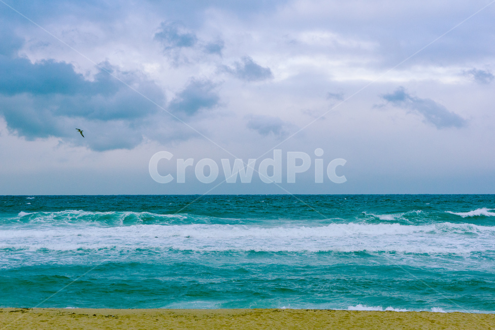 sea,바다,파도,wave,갈매기,sky,sand