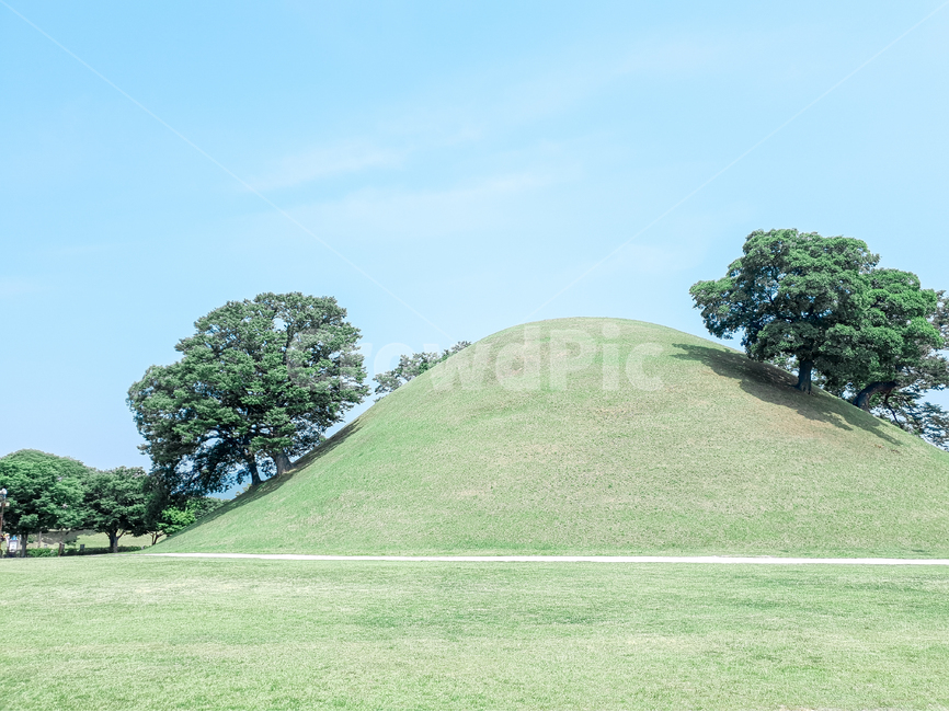 경주,고분,풍경,자연,초록,여름,하늘,잔디,푸른,파란하늘,파란,경주시,맑음,나무,고목,자연,풍경,nature,landscape,한국자연풍경,한국자연경관,korea nature landscape,grassland,목초지,outdoors,옥외,field,들,mound,투수판