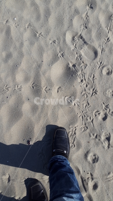 해수욕장,바닷가,백사장,모래,회색,패턴,자연,해변,바다,beach,sea,사람,인물,인간,human,person,신체일부,몸,body