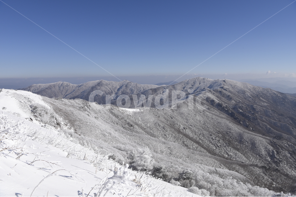 소백산,설경,눈꽃,상고대,소백능선,백두대간,겨울,계절,winter,season,자연,풍경,nature,landscape,한국자연풍경,한국자연경관,korea nature landscape,outdoors,옥외,mountain,산,slope,경사,mountain range,산맥