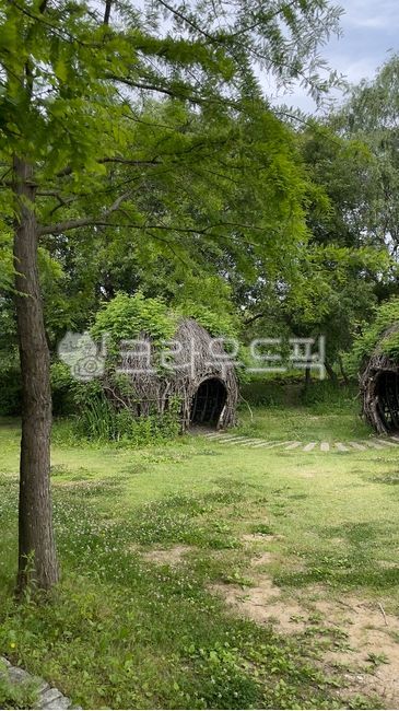 shelter,nature,hut,vegetation,Reservoir,building,dam,Gwangju Lake,outdoors,forest land,walking path,lake,architecture,ecological garden