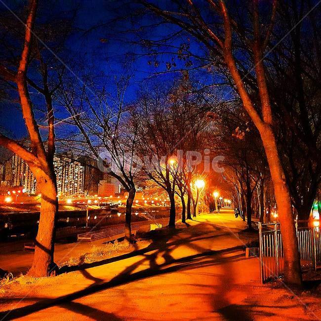 풍경,자연,산책로,산책,감성,저녁,분위기,landscape,nature,panorama,evening,trail,stroll,walk