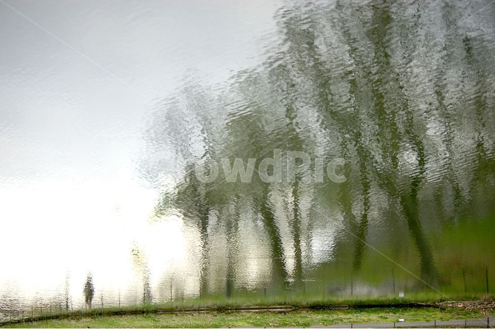 풍경,반영,reflex,센트럴파크,수채화,호수,landscape,자연,풍경,nature,landscape,tree,나무,plant,식물