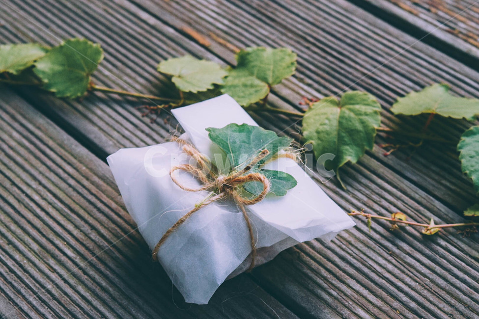 포장,선물,자연,리본,야외,여름,gift,nature,사물,수제,담쟁이덩쿨,담쟁이,초록,잎사귀,green,leaves,가을,브라운,갈색,소소,소박,식물,자연,plants,nature,기념일,축하,anniversary,congratulation,celebrate,celebration,감성,sensible,feeling