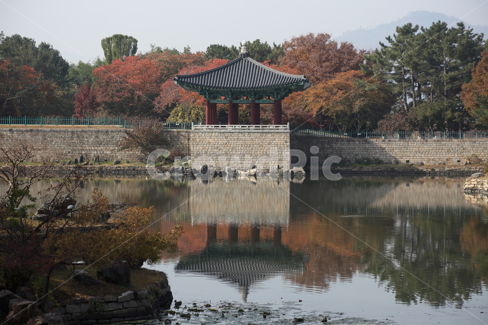 안압지,한국전통,경주,동궁,월지,가을,반영,가을,계절,fall,autumn,season,한국전통,한국문화,korean traditional,korean culture,랜드마크,landmark,tourist attraction,한국랜드마크,한국관광지,한국명소,korea landmark,korea tourist attraction,건축물,건물외관,exterior,building,structure,architecture,construction,건물,castle,성