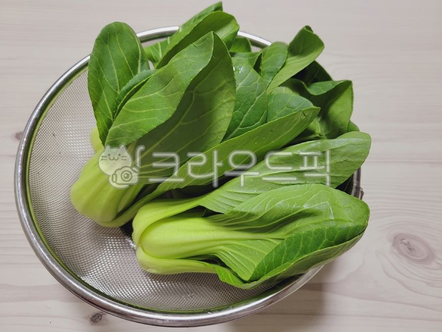 채소,야채,vegeatable,청경채,pakchoi,채망,식재료,leaf,잎