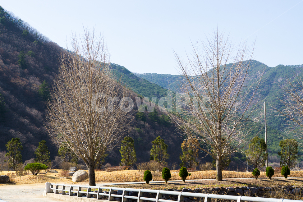길,나무,하늘,산,풍경,자연,청도,운문사,돌다리,봄,자연,풍경,nature,landscape,한국자연풍경,한국자연경관,korea nature landscape