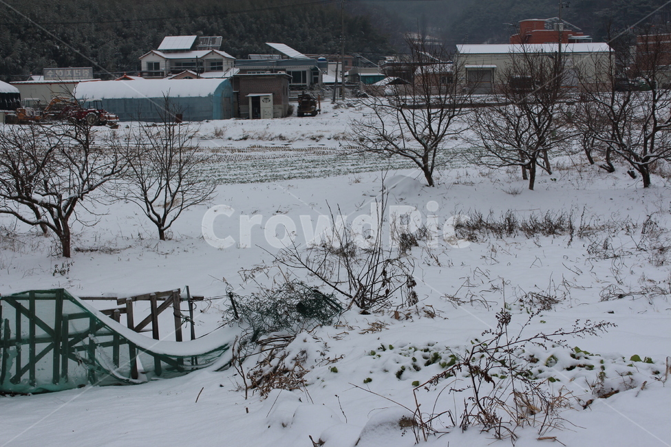 눈,겨울,겨울풍경,겨울아침,계절,풍경,분위기,색감,landscape,winter,snow,snowing