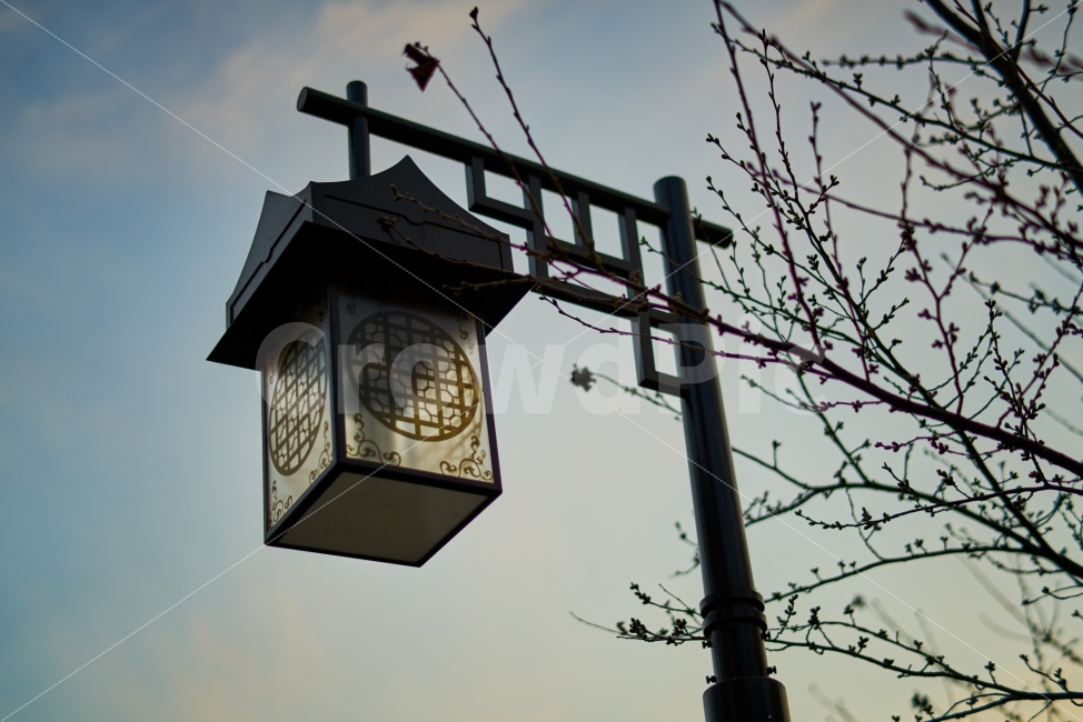 전등,가로등,등불,갓등,하늘,저녁,한국전통,한국문화,korean traditional,korean culture