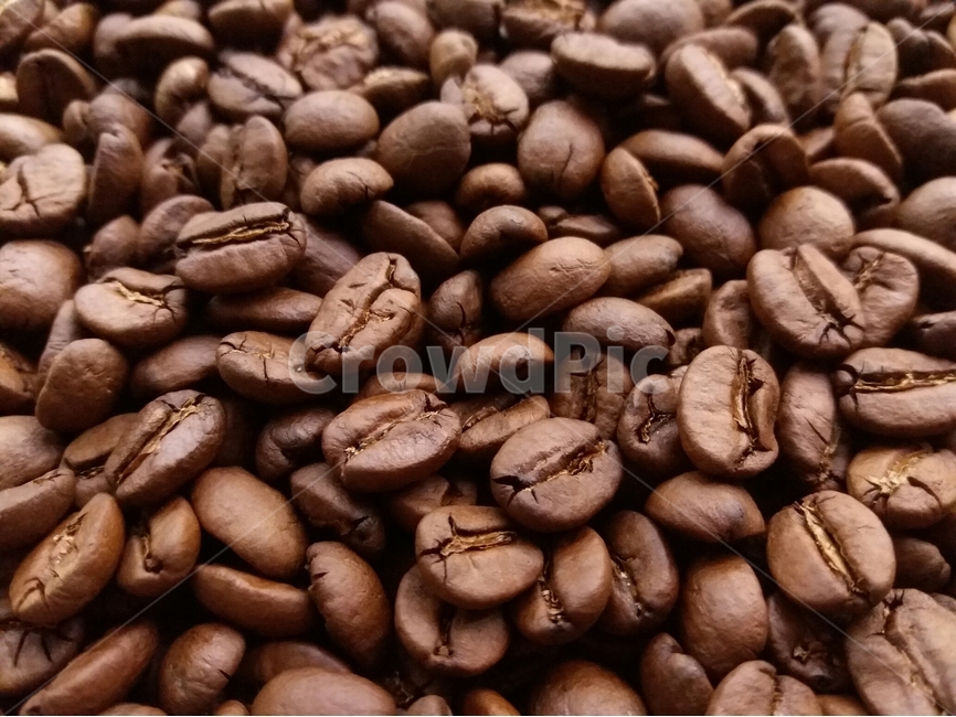 원두,커피,로스팅,생두,브라질,coffee,bean,roasting,cafe,카페,커피콩,커피,카페,coffee,cafe