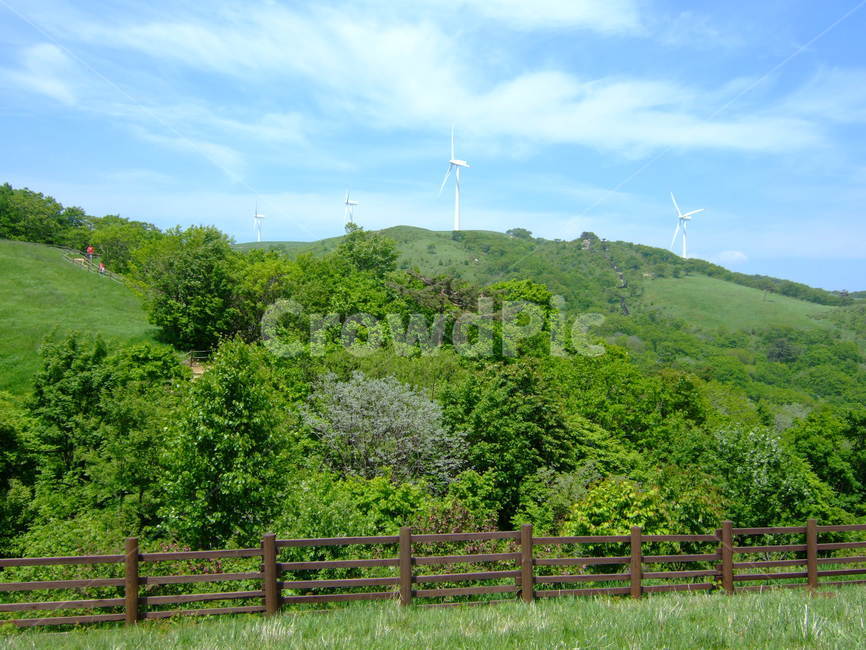 강원도,대관령,산,발전기,풍력,바람,여름,능선,산마루,mountain,windplant,wind,summer,자연,풍경,nature,landscape,outdoors,옥외,grassland,목초지,field,들,motor,모터,machine,기계,engine,엔진