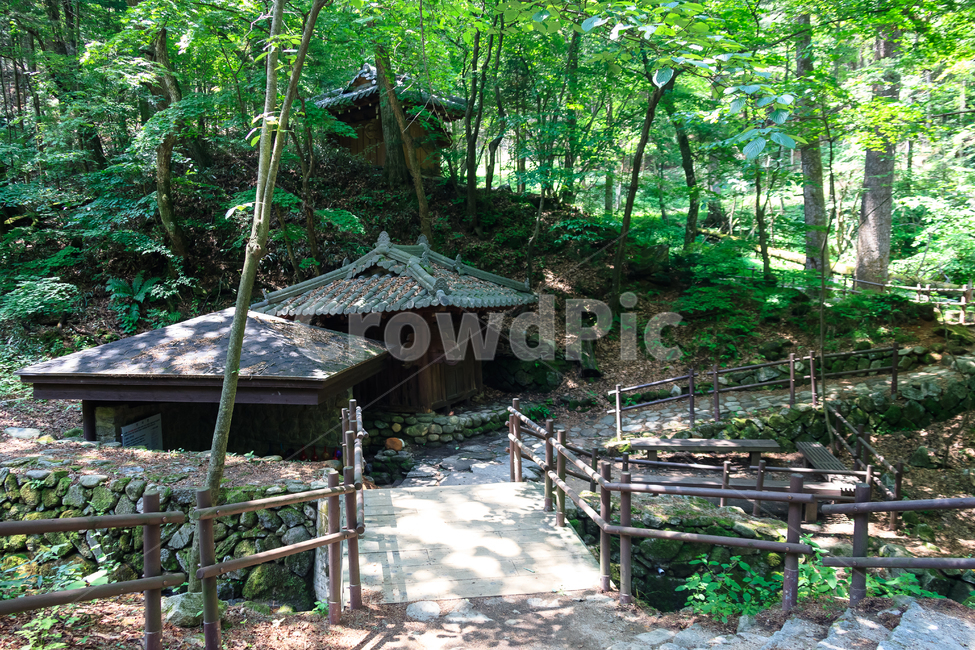약수터,약수,오두막집,물,신선한,컵,숲,자연,풍경,nature,landscape,outdoors,옥외,building,건물