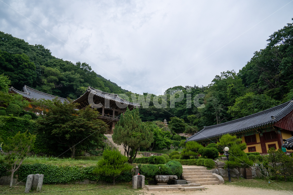 영주,부석사,절,자연,한옥