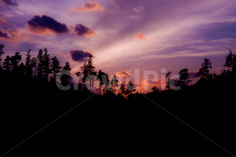 자연,자연사진,풍경,풍경사진,실루엣,나무,하늘,구름,햇빛,nature,naturephoto,naturephotography,landscape,silhouette,tree,sky,cloud,sunlight,mountain,산,자연,풍경,nature,landscape,outdoors,옥외,dawn,새벽,red sky,붉은 하늘,sunset,일몰,dusk,황혼
