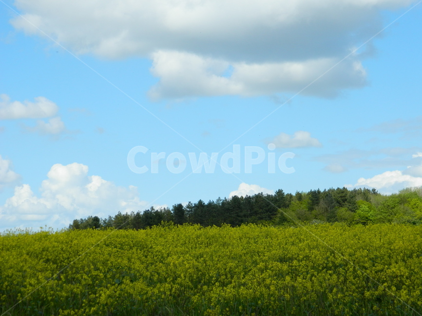 field,들,outdoors,옥외,nature,자연,평원,고요,relaxing,landscape,풍경