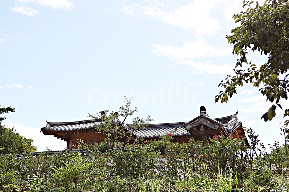 공주한옥마을,한옥,전통집,기와집,집,풍경,한옥집,옛날집,건물,건축물,여름,한국전통,한국문화,korean traditional,korean culture,건축물,건물외관,exterior,building,structure,architecture,construction