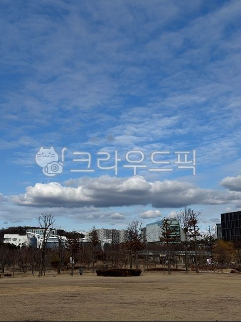 Clouds,fluffy clouds,park,leisure,peace,clear sky,spring,park scenery,blue sky,blue sky,natural scenery,outing,picnic,nature in the city,leisurely scenery,walk,walking path,sky and clouds,park scenery,holiday outing,nice weather,city 