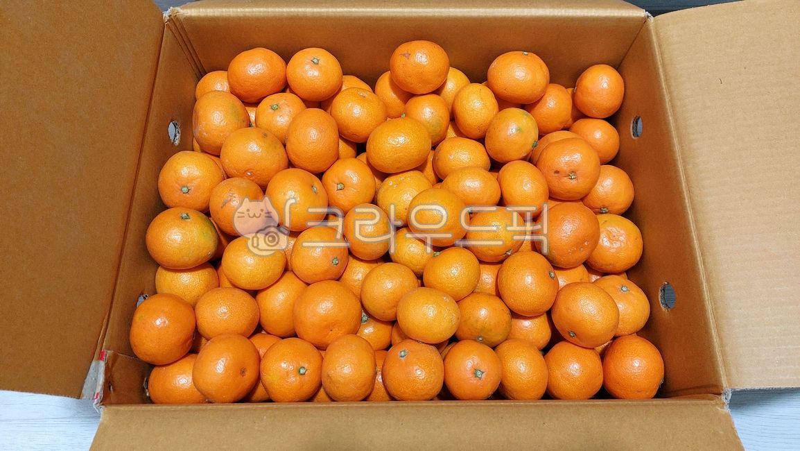 감귤류과일, citrusfruit, food, 음식, fruit, 사진,이미지,일러스트,캘리그라피 - SWEET GALE작가