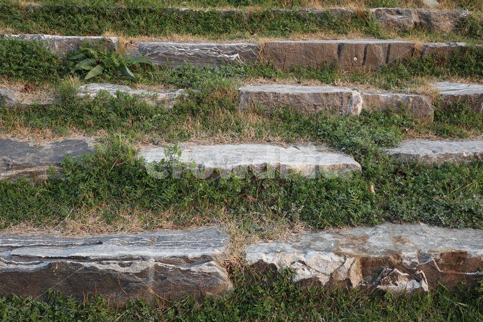 여름,돌계단,자연,nature,summer,계단,이끼,stair