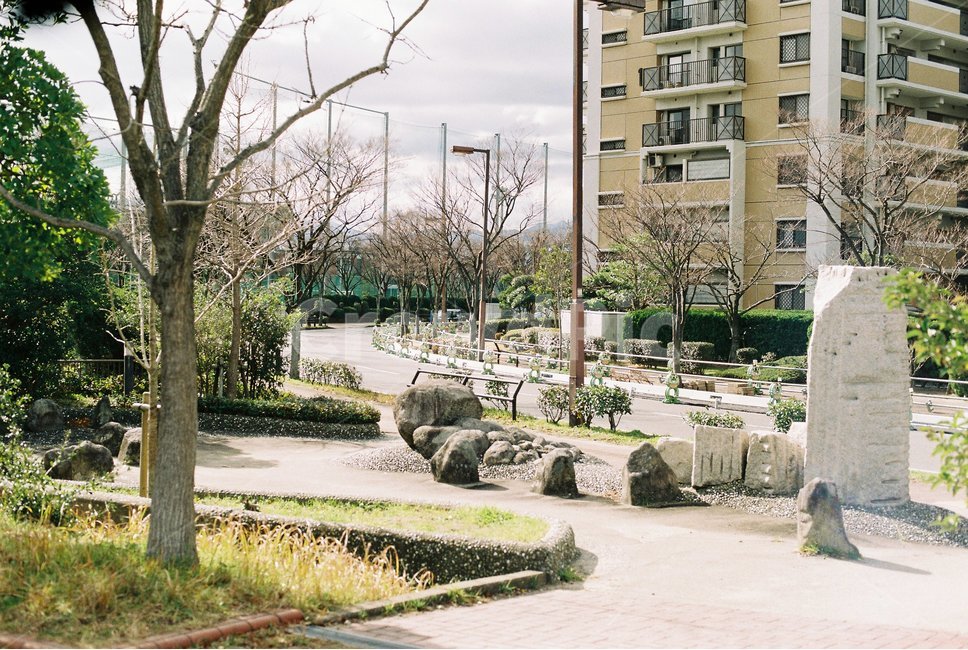 일본,필름사진,건물,길거리,street
