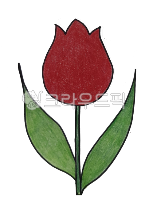 Tulip,colored pencil drawing,hand drawing,background,flower illustration,plant,hand drawn illustration,pen drawing,decoration,flower